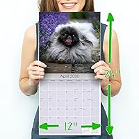 Vista 85 de Razas de Perros 2017