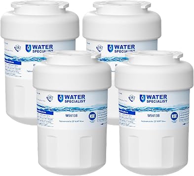 Waterspecialist WS613B Water Filter, Replacement for GE MWF, 4 Pack