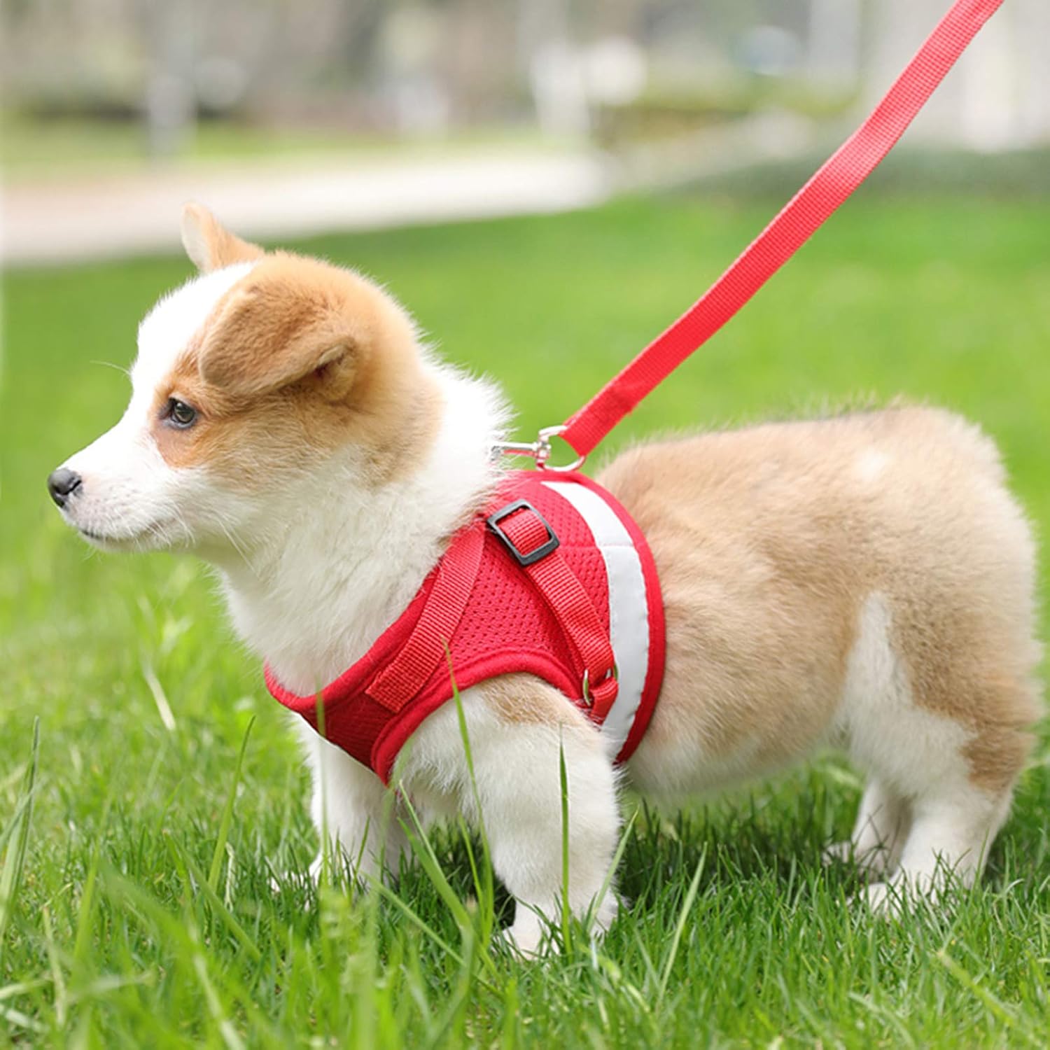 SMALLLEE_LUCKY_STORE Reflective Soft Mesh Step-in Harness and Lead for Small Dog Cat Puppy Outdoor Walking No Pull Adjustable Lightweight Red XL - Image 3