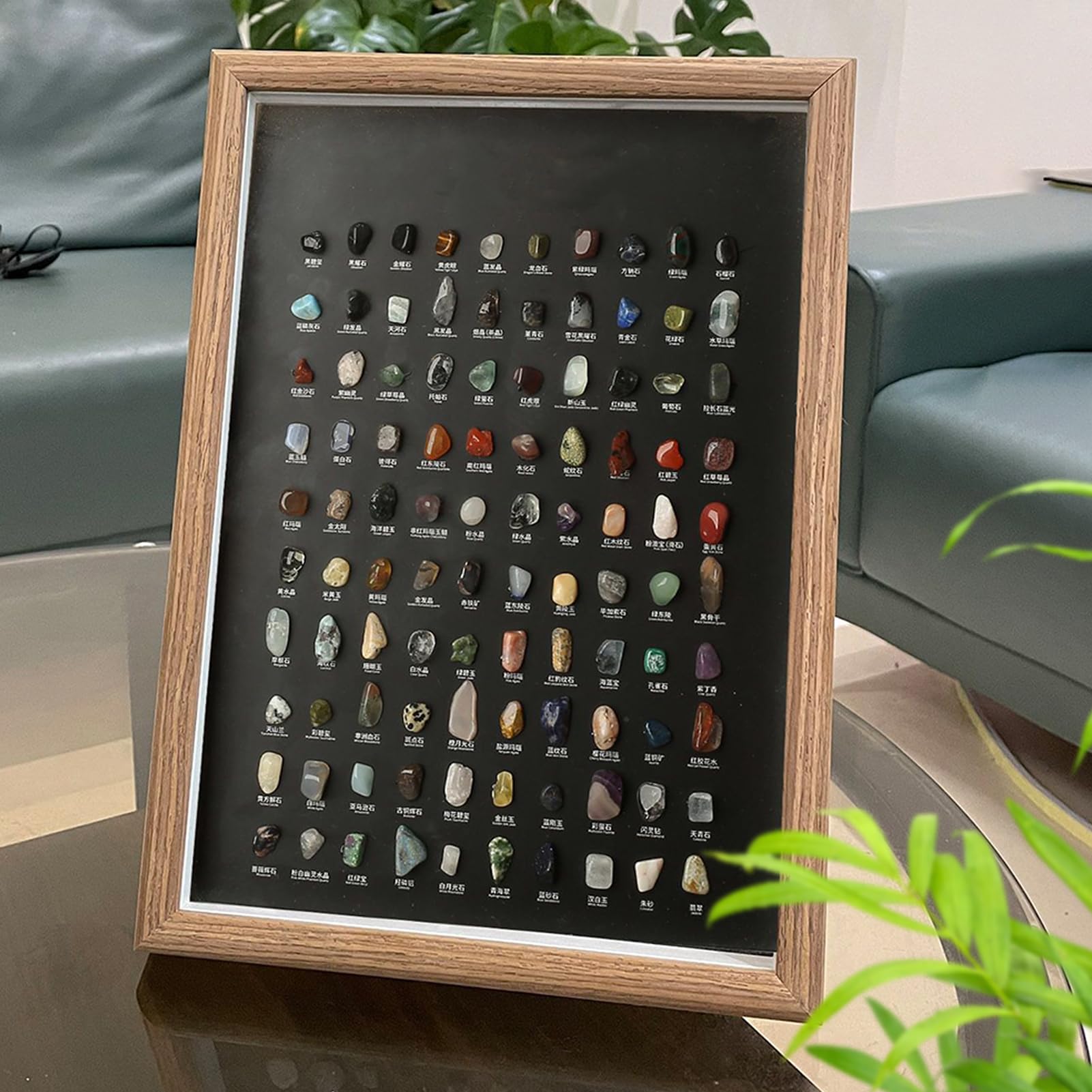 Colección de Minerales 100 Piezas Naturales para Coleccionistas | Kit De Ciencia Infantil Con Especímenes De Minerales En Bruto Para Niños Adultos Coleccionistas Oficina Sala Dormitorio
