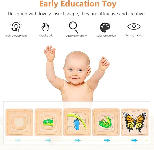 Miniatura 2 de jojofuny Rompecabezas de madera multicapa, ciclo de vida de mariposa, juguete Montessori de dibujos animados, rompecabezas de bricolaje, juguete