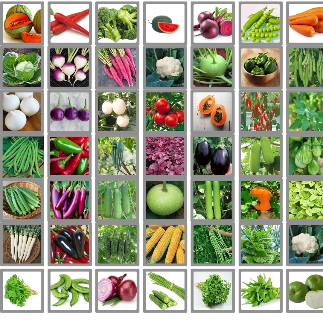 50 Variety of Vegetable Seeds | 2000+ Organic & Hybrid Seeds | Home Gardening Kit for Pots, Balcony, Patio & Terrace | Non-GMO, Ideal for Kitchen Garden | All Season Veggies Combo Pack