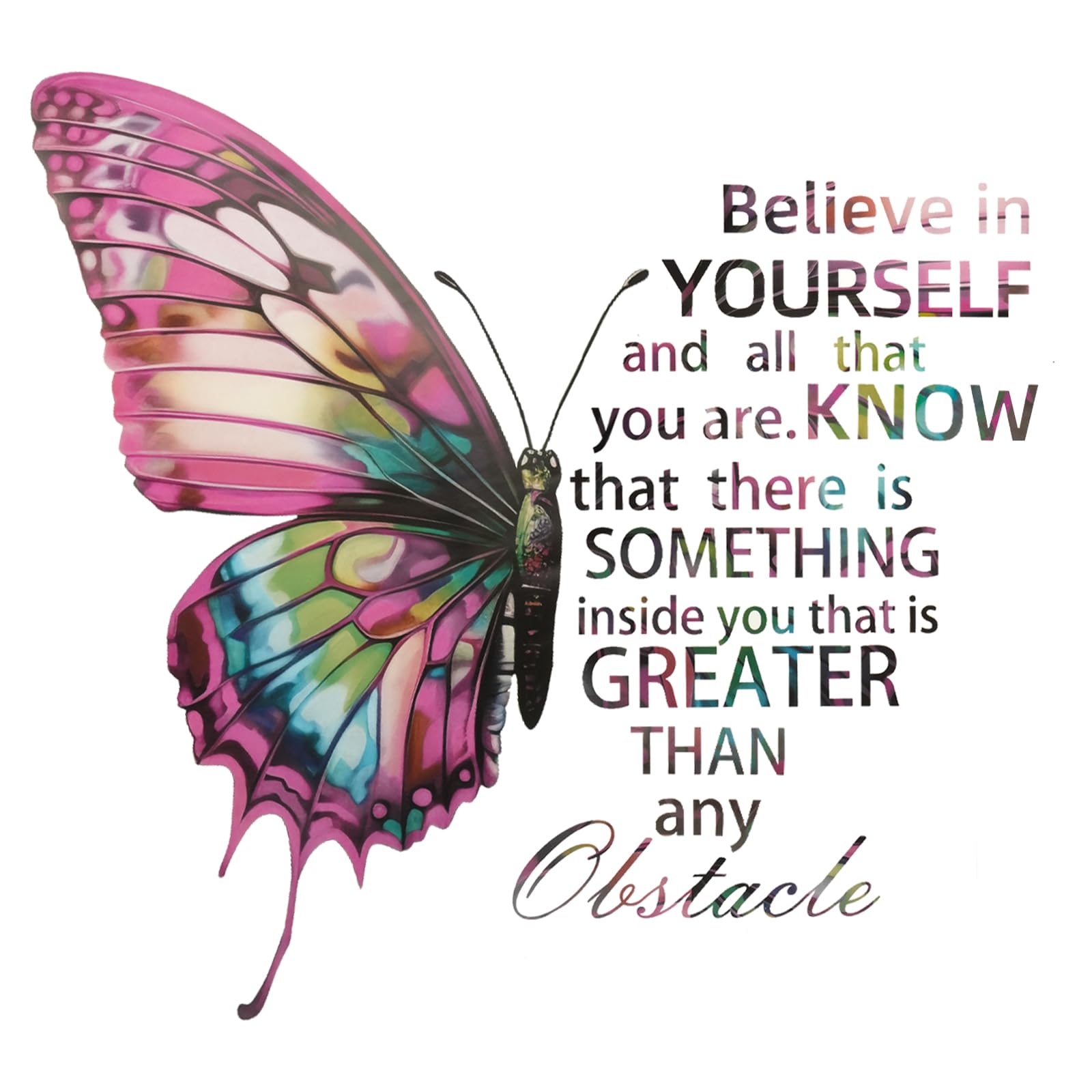 STNRST-IN Colorful Butterfly Wall Stickers, Inspirational Quotes Wall Decal