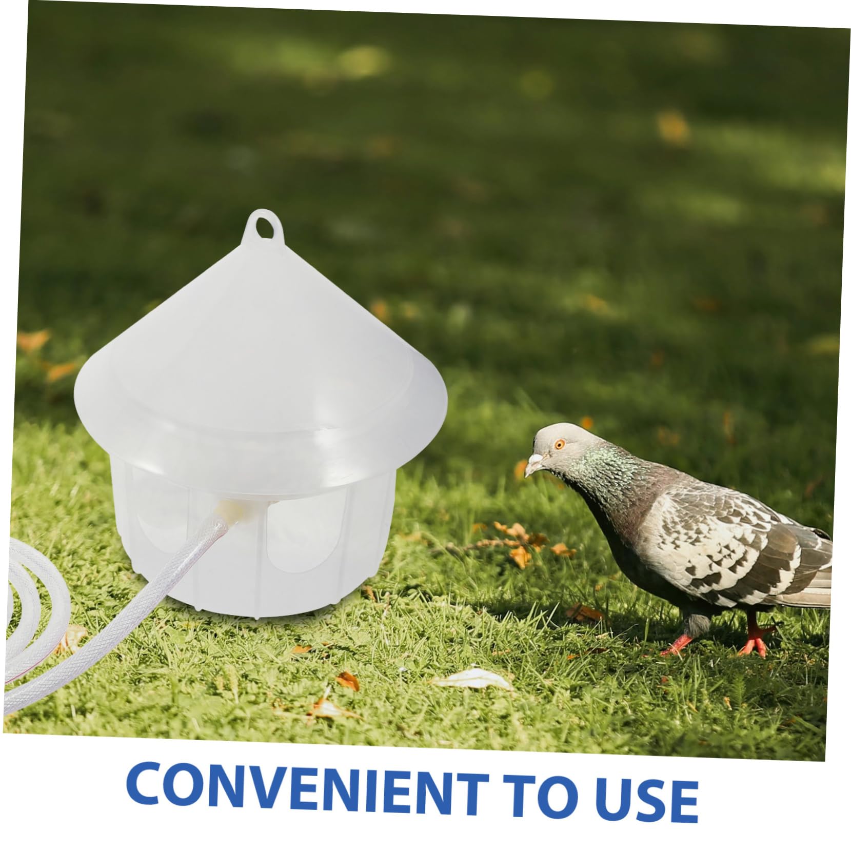 ORFOFE Dispensador Automático De Agua para Palomas Bebedero De Plástico para Aves Alimentador De Agua para Mascotas Sin Necesidad De Recarga para Palomas y Periquitos