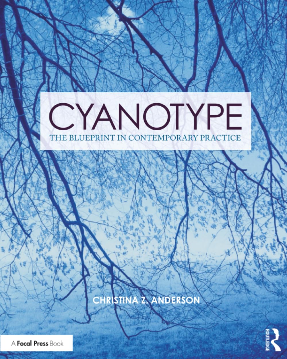 Cyanotype: The Blueprint in Contemporary Practice (Contemporary Practices in Alternative Process Photography)