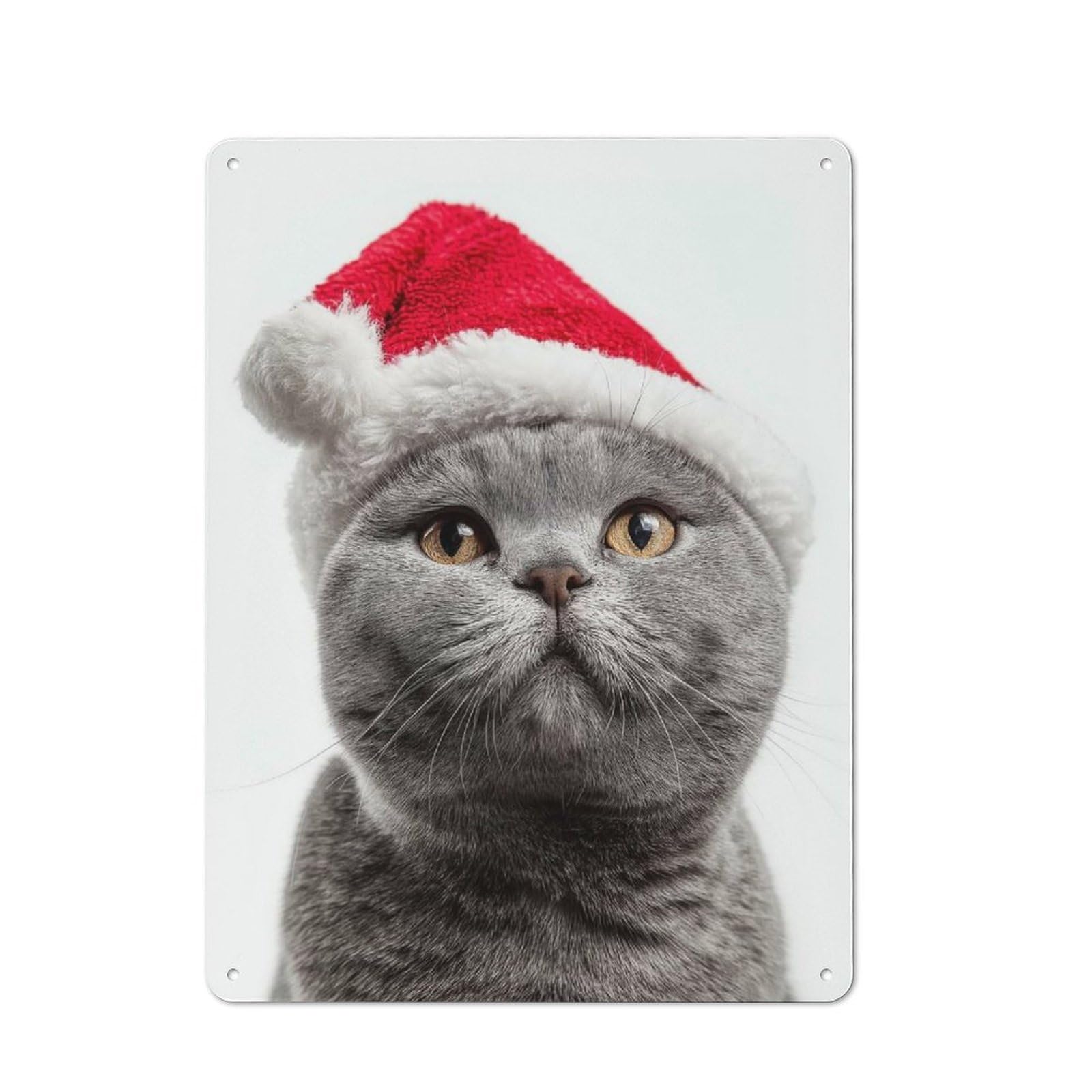 Junmoney British Shorthair Cat With Santa Hat Portrait Classic Metal Wall Decor 40X30cm, Metal Wall Plaque For Office, Study, Studio Or Hallway