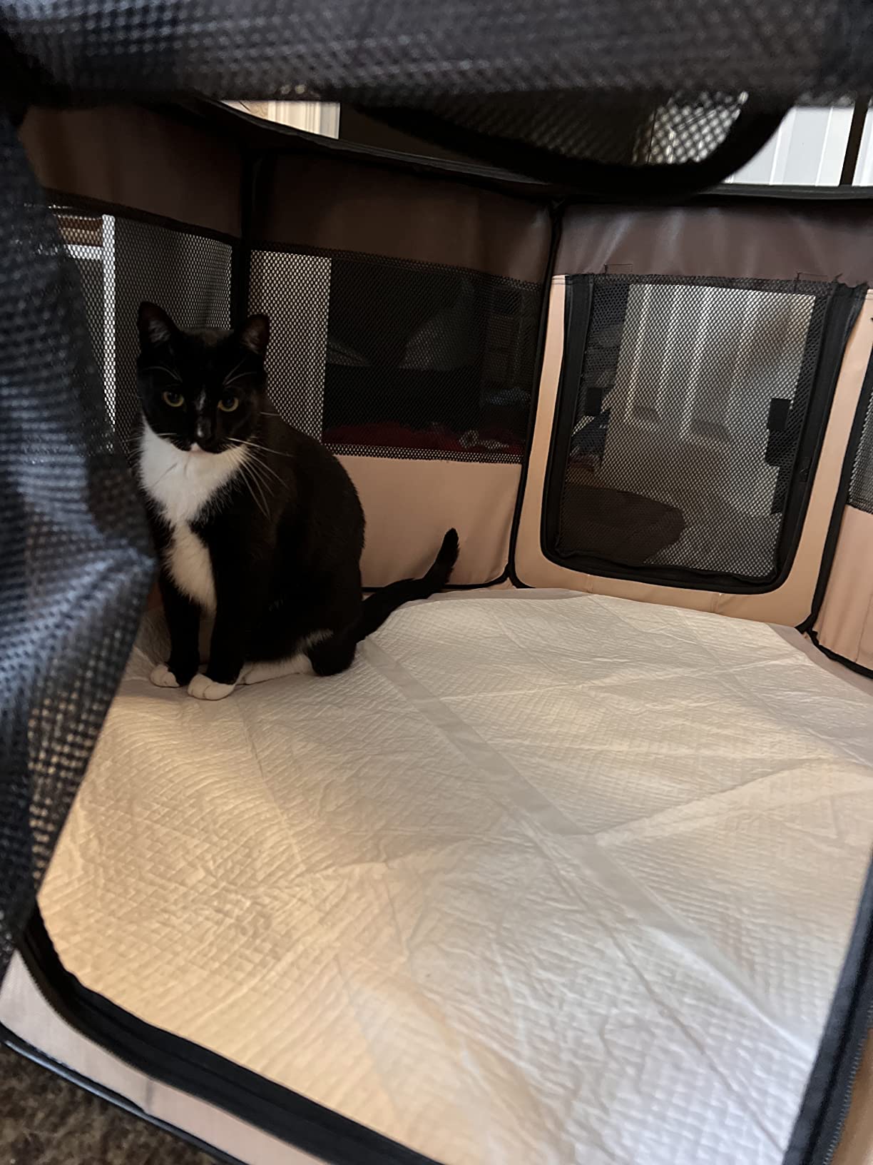 10/mo Finance Zampa Dog Playpen Pop Up Portable Playpen for Dogs and