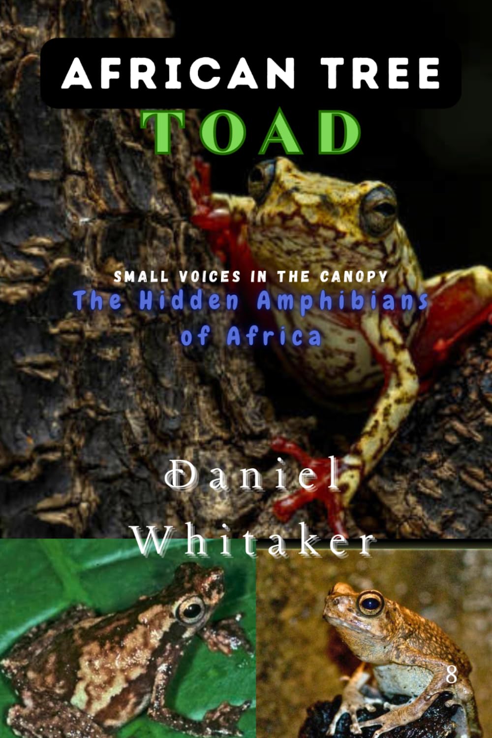 African Tree toad: small voices in the Canopy: the hidden Amphibians of Africa