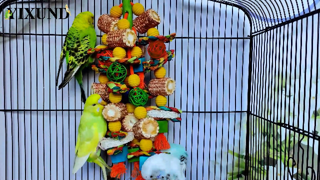Viuvoiul Natural Parrot Toys - Wooden Mango & Colorful Corn Chew Toys For Cockatiels, African Greys, Small Birds - View #4