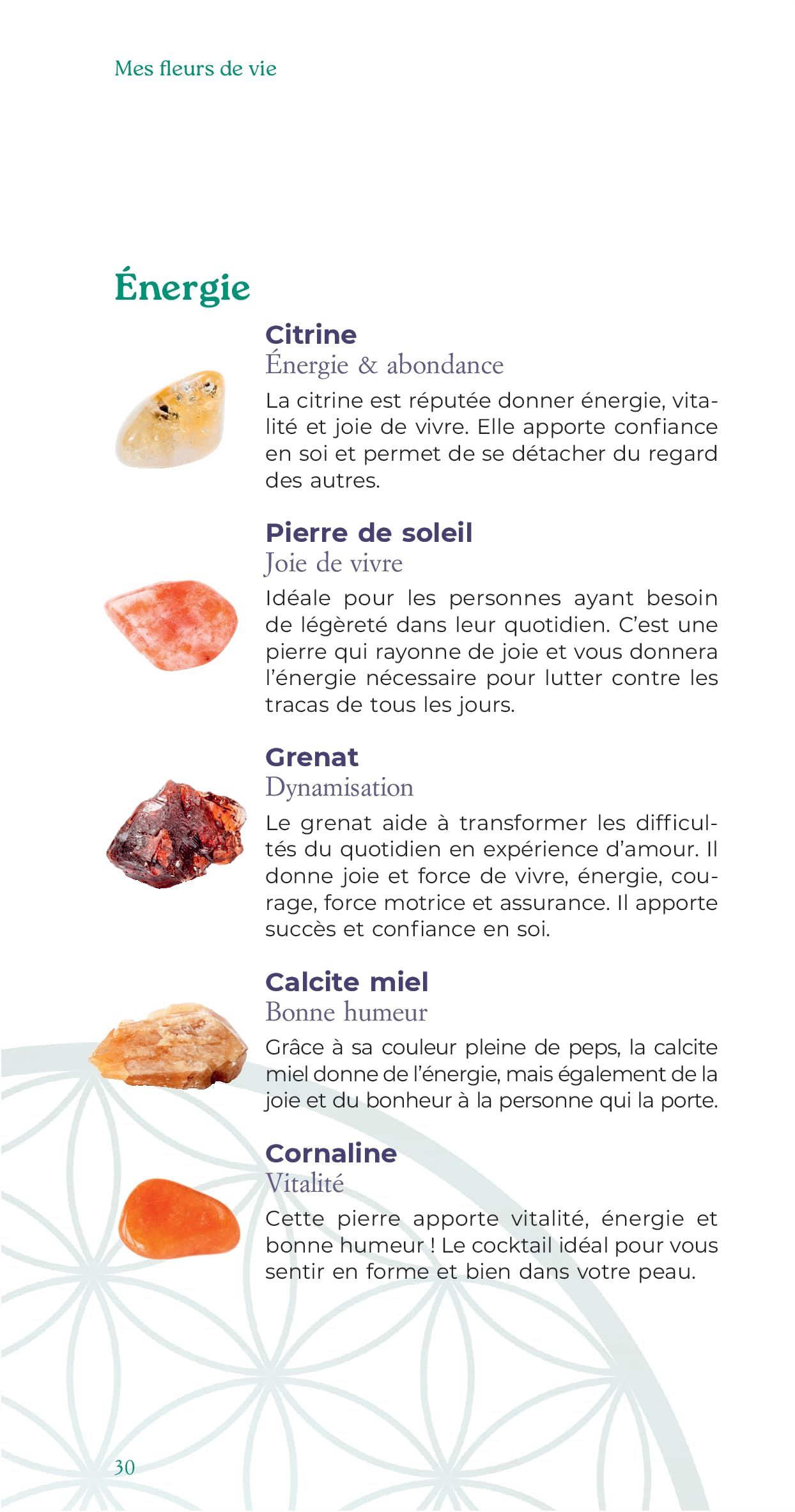 Coffret - Mes Fleurs de vie: pour recharger l'énergie des pierres