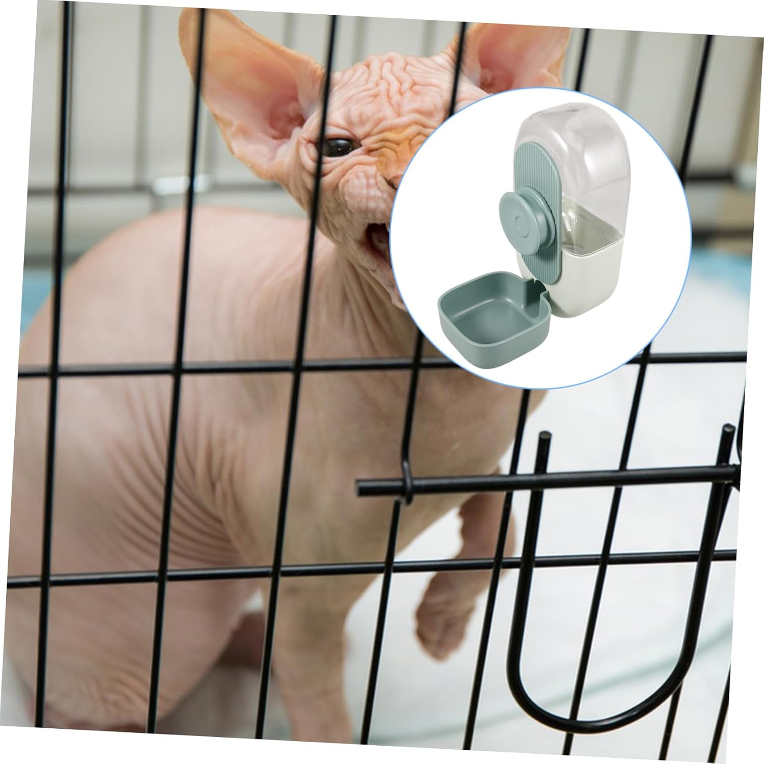 VANZACK 5pcs Automatic Pet Feeder Dispenser Easy Install Pet Water Fountain for Cats Dogs