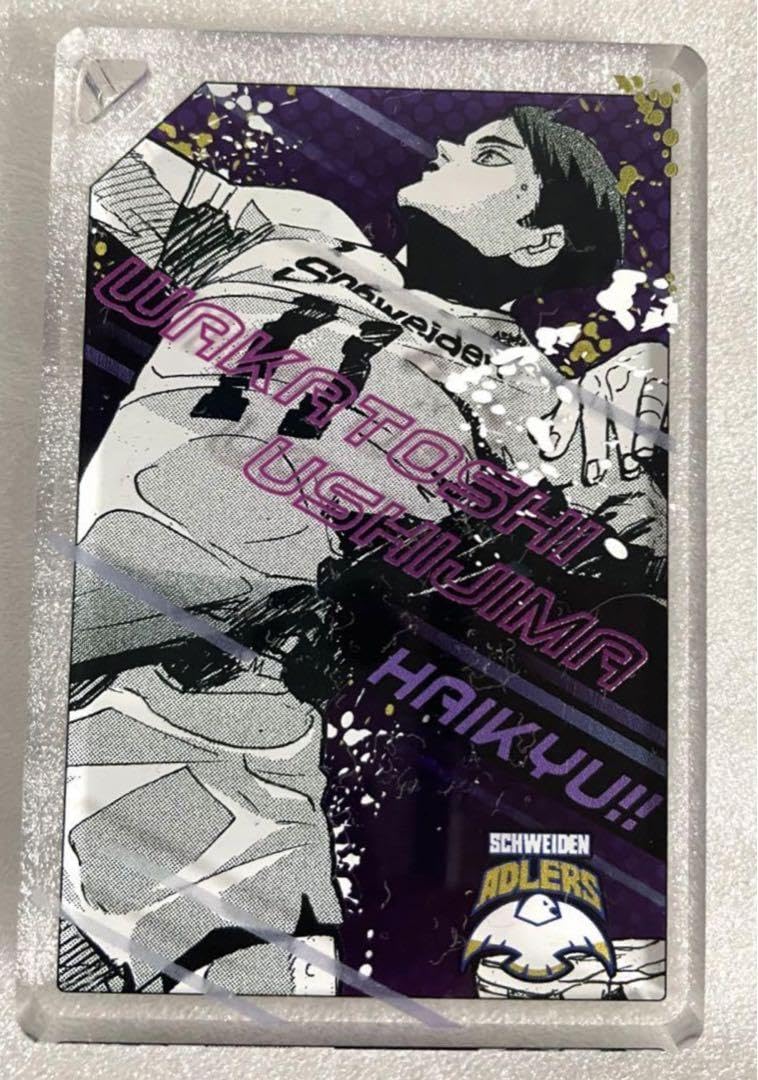 Amazon.co.jp: ハイキュー 及川の全員倒す アクリルキーホルダー