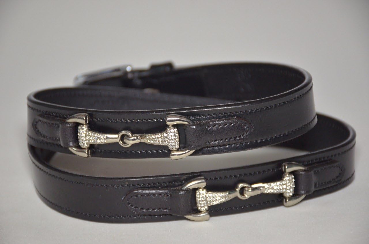 briglia per cavalli con briglie in blu