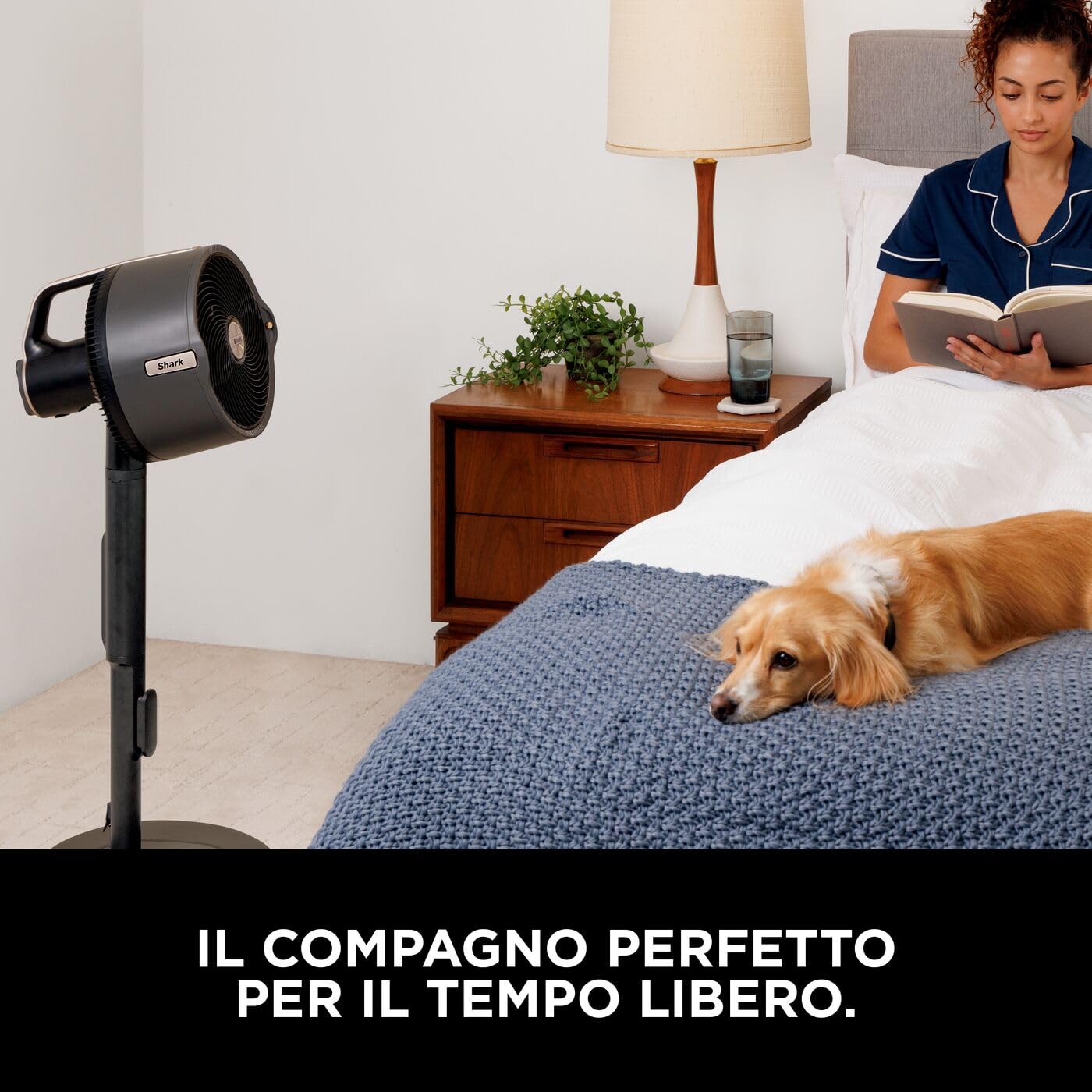 Shark FlexBreeze Pro Mist Ventilatore per Interni ed Esterni senza Filo con Nebulizzatore, Portatile, Raggio 20 m, a Piantana o da Tavolo, 5 Velocità, Silenzioso, Telecomando, Grigio Antracite FA300EU