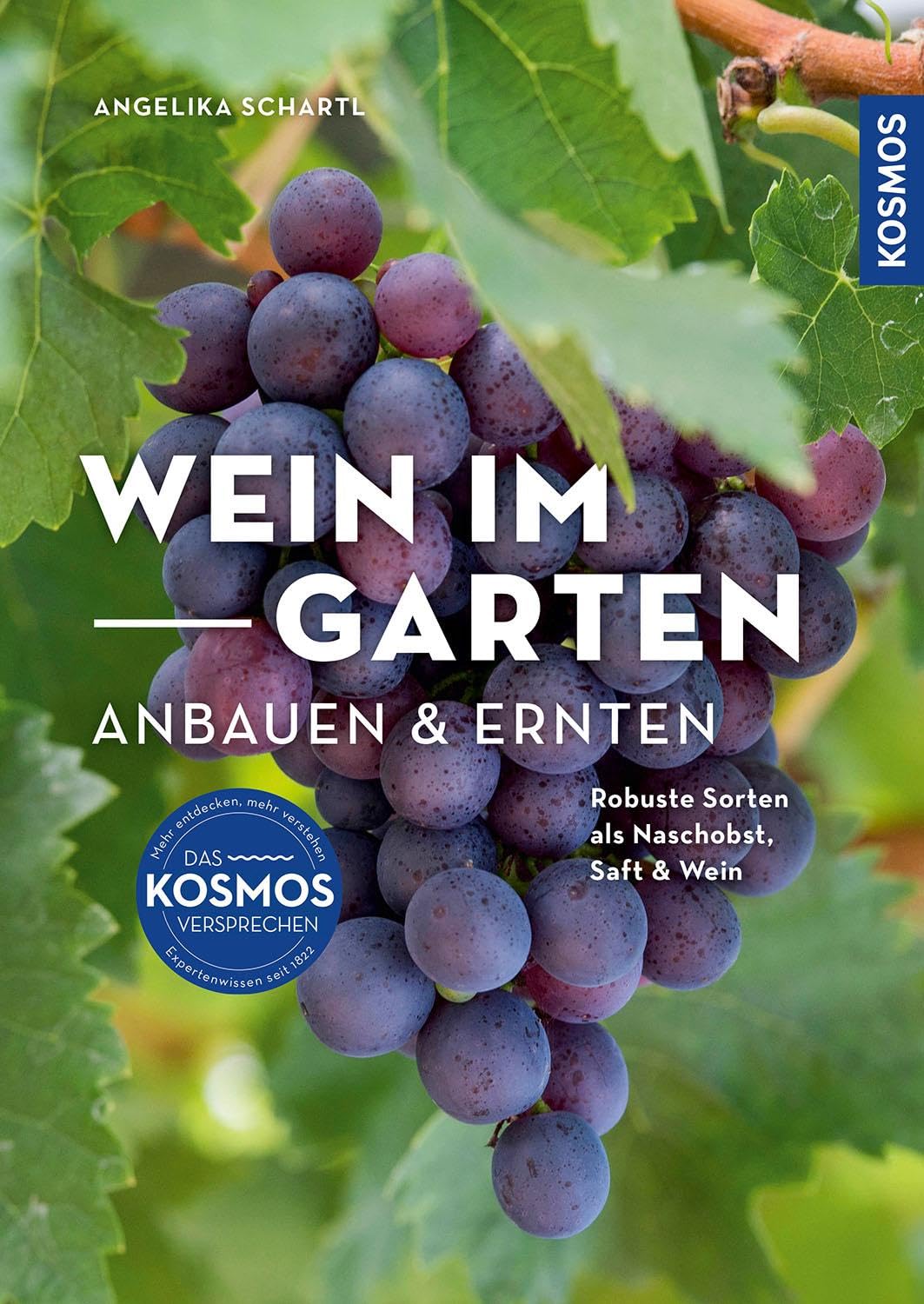 Wein im Garten anbauen & ernten: Robuste Sorten als Naschobst, Saft & Wein