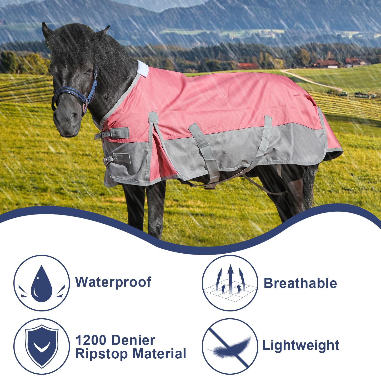 Coperta piumone per cavallo da box con imbottitura da gr. 350 con collo in pile
