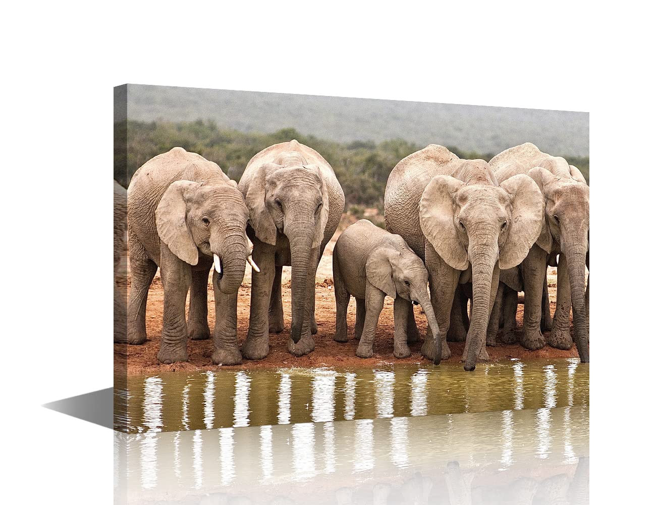 Canvas Wall Art Wild Animals Picture Artwork for Bedroom Wall Decorations for Kid's Room Living Room Hang Pictures Wall Artwork(16x24in-Wild Elephants Drinking by the River