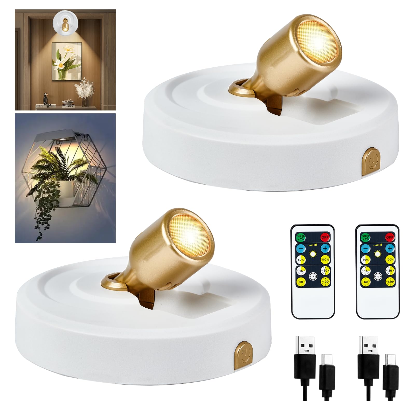 RAHAN 2Pack LED Spotlight, Rechargeable Battery Spot Lights with Remote, Uplighting Indoor, Stick Plant Spotlights for Wall Art Display Artwork Picture Painting