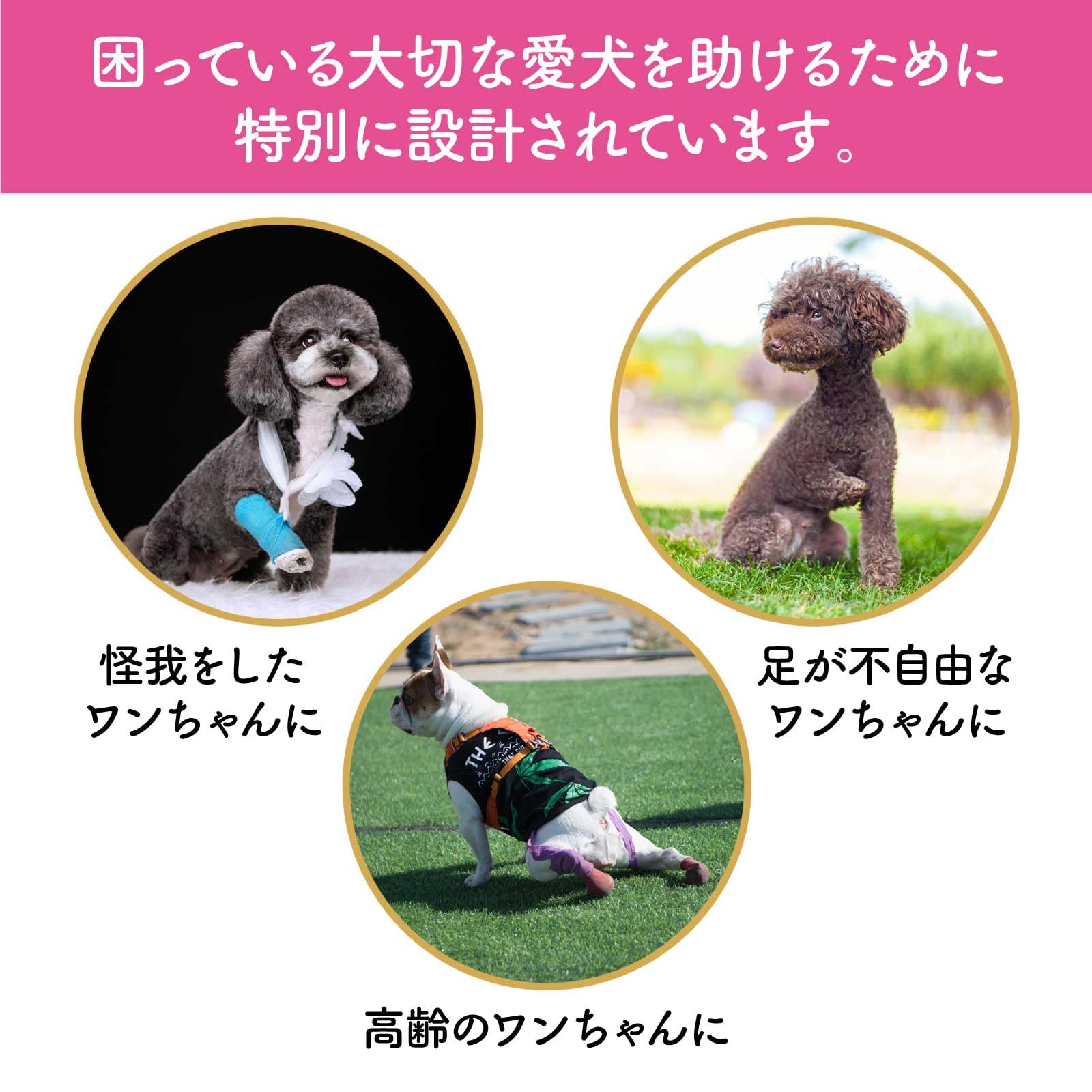 Amazon | Funriche 犬 ハーネス リード セット 歩行補助 ペット 用品