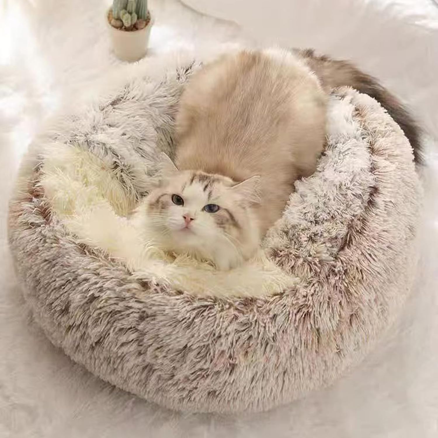 Calming Dog Bed Covered Donut Cat Cave Bed for Indoor Cats Dog,Fluffy Plush Puppy Cushion Pet Beds for Kitten Small Dogs, Brown, 50cm/19.69"