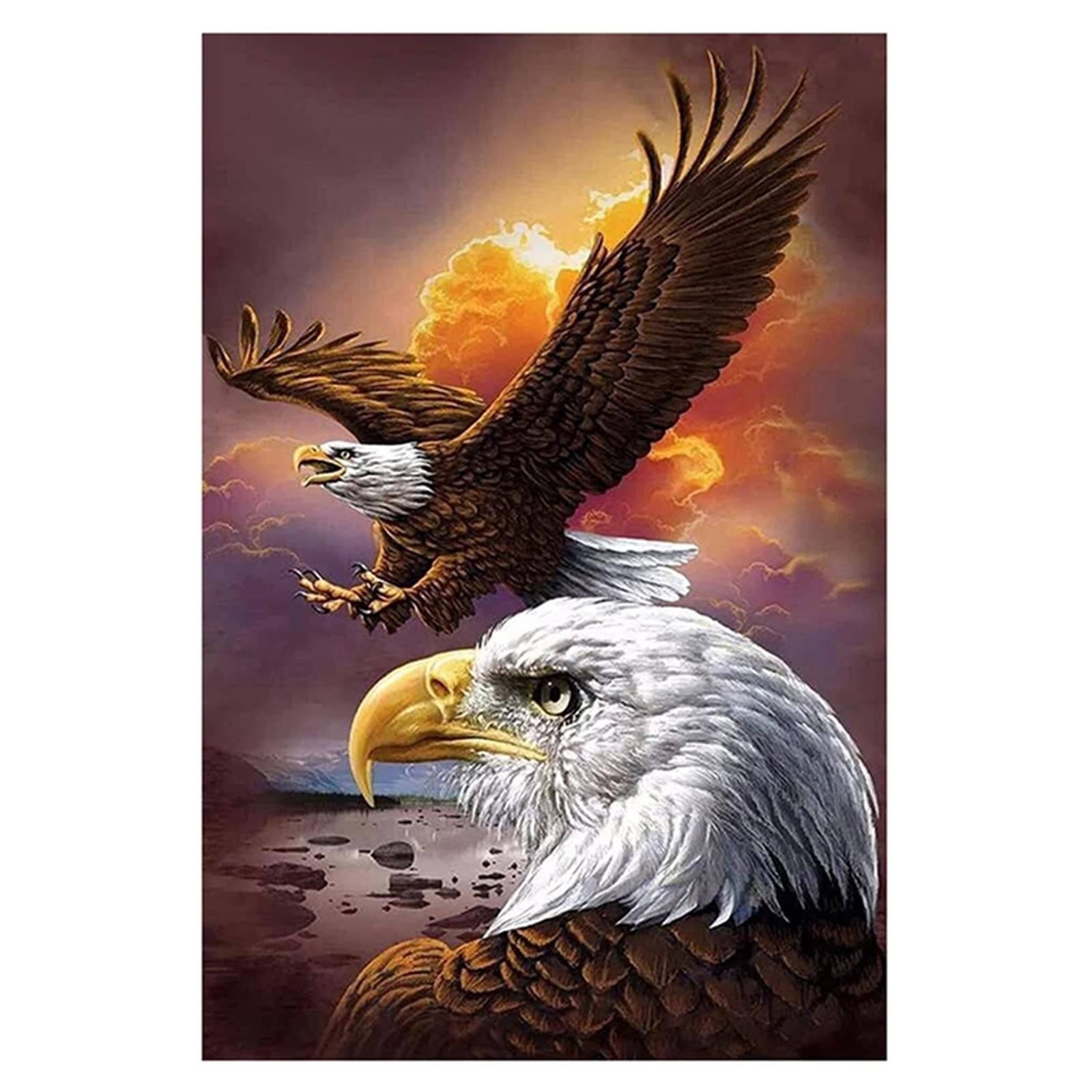 Diamond Painting Adler - 5D DIY Diamant Malerei Set 30x40cm Rund