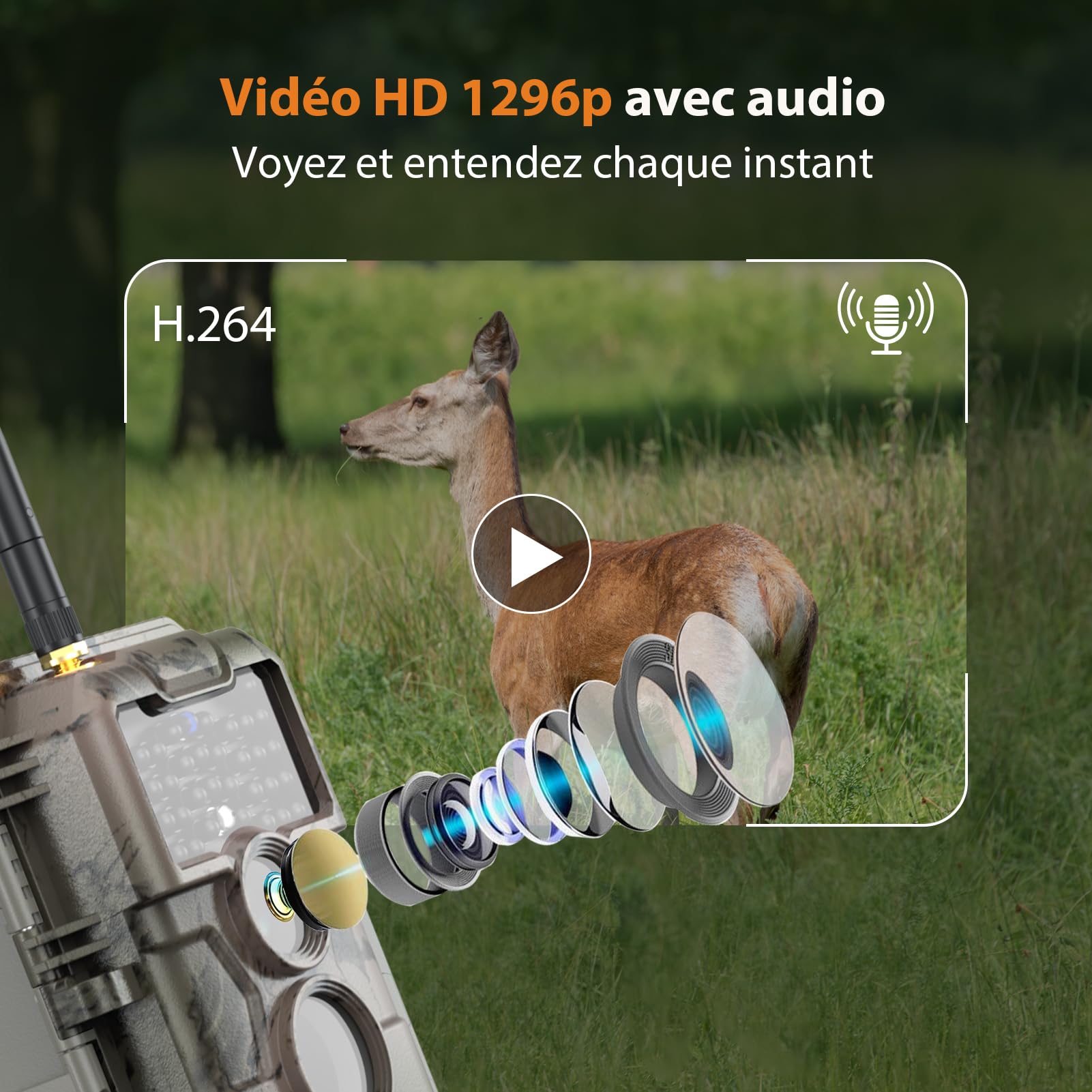 GardePro E6 Camera de Chasse WiFi, 64MP, vidéo 1296p H.264, Angle de Vue 110°, caméra de Chasse avec Vision Nocturne, détection de Mouvement, piège Photographique pour Jardin