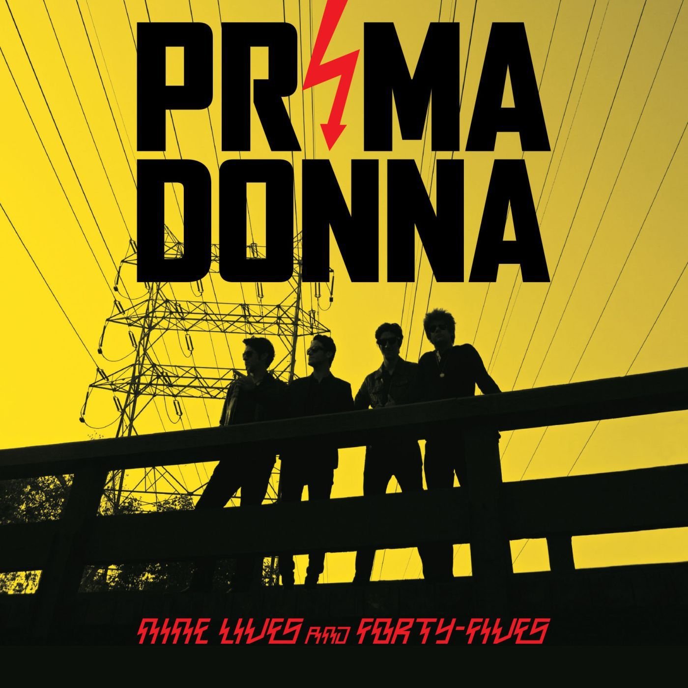 Nine Lives and Forty Fives [VINYL]