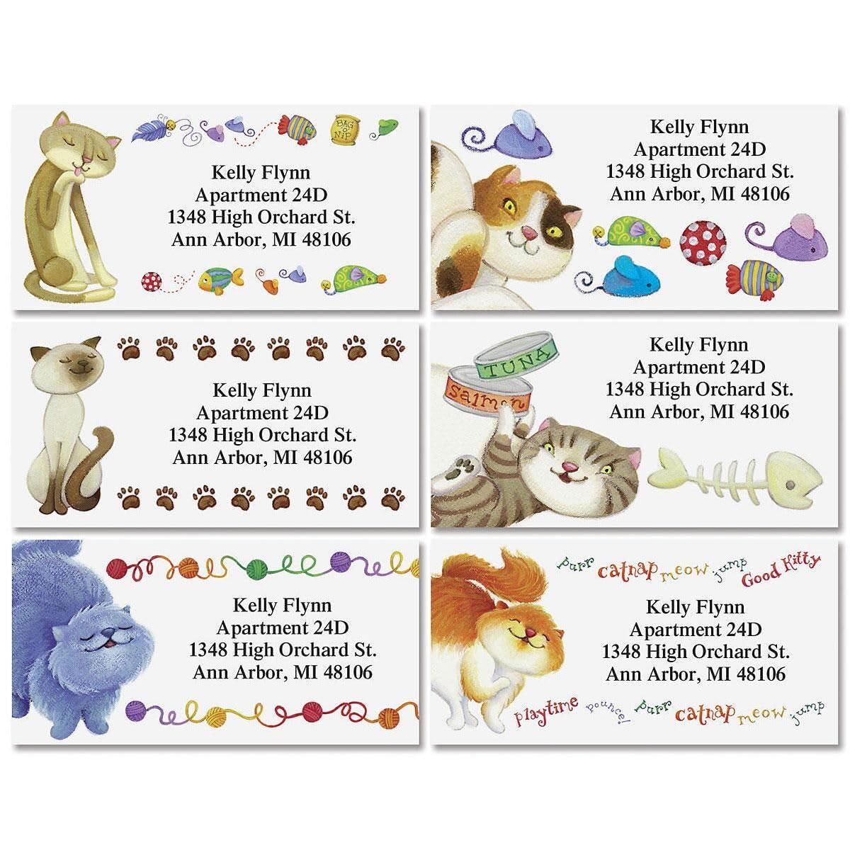 The Cat's Meow Personalized Border Return Address Labels- Set of 144 (6 Designs) 1-1/8" x 2-1/4" Self-Adhesive, Flat-Sheet Labels, By Colorful Images