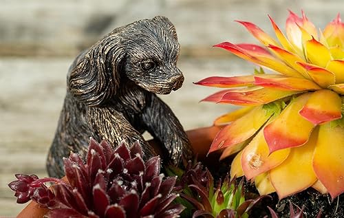 Cavalier King Charles Spaniel Pot Buddy - Colgador decorativo de bronce antiguo para macetas