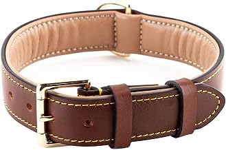 Brute Strength - Leather Dog Collar - Brown - XXL · 66 - 73 cm | Padded Full Grain Leather Collar for Small, Medium or Large Dogs; Brass Buckle and Separate Tag Ring