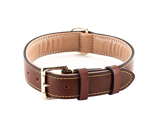 Brute Strength - Collar de Cuero para Perro - Marrón - XL · 56–63 x 3,5 cm