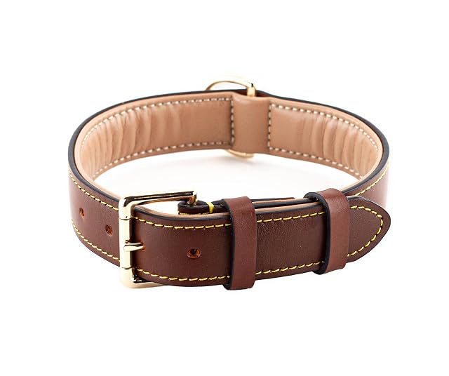 Brute Strength - Collar de Cuero para Perro - Marrón - XL · 56–63 x 3,5 cm