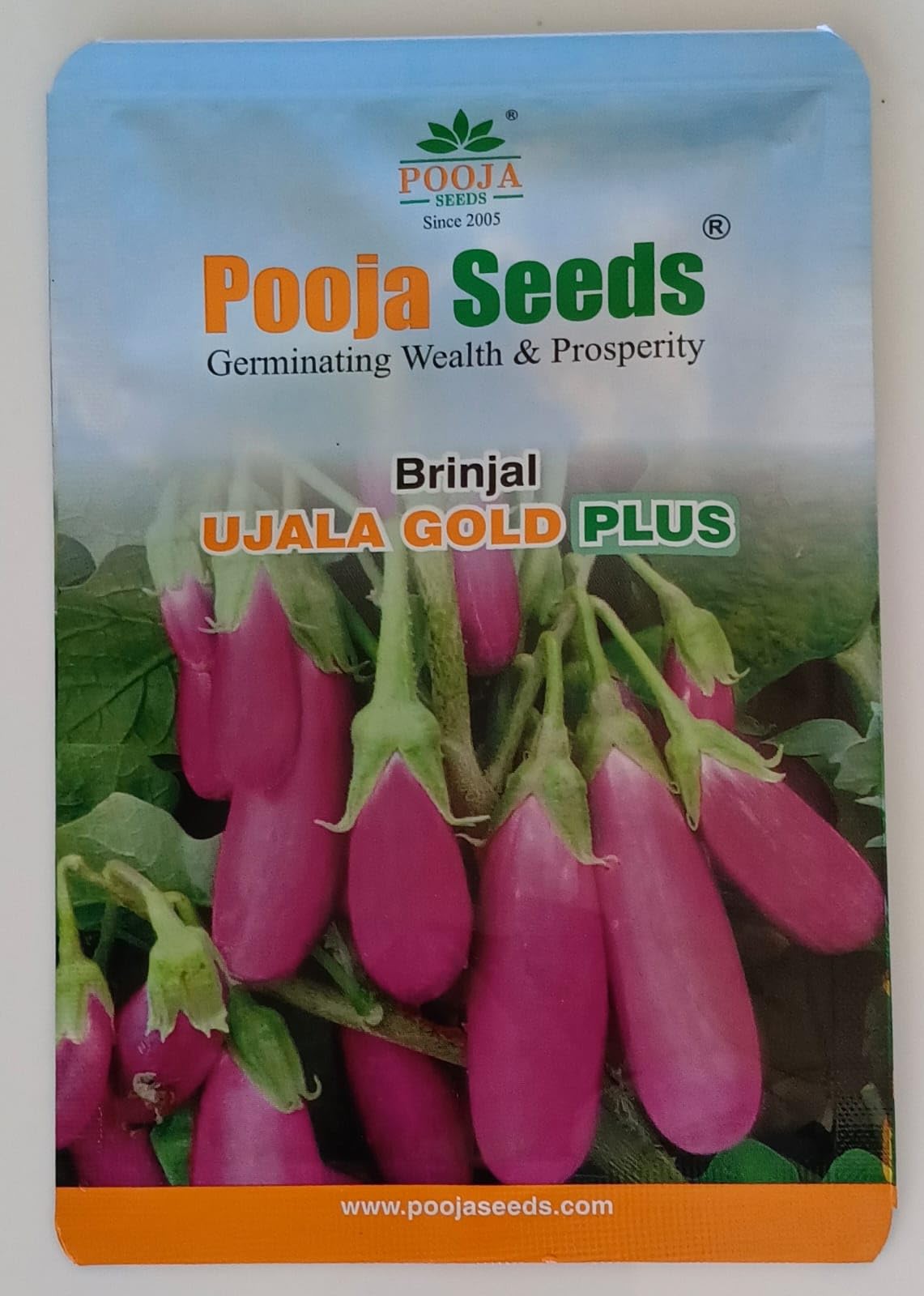 Pooja Seeds - Brinjal (Egg Plant) Seeds - Ujala Gold Plus - 25Gm (B0BRCXPV1R) Amazon Price History, Amazon Price Tracker