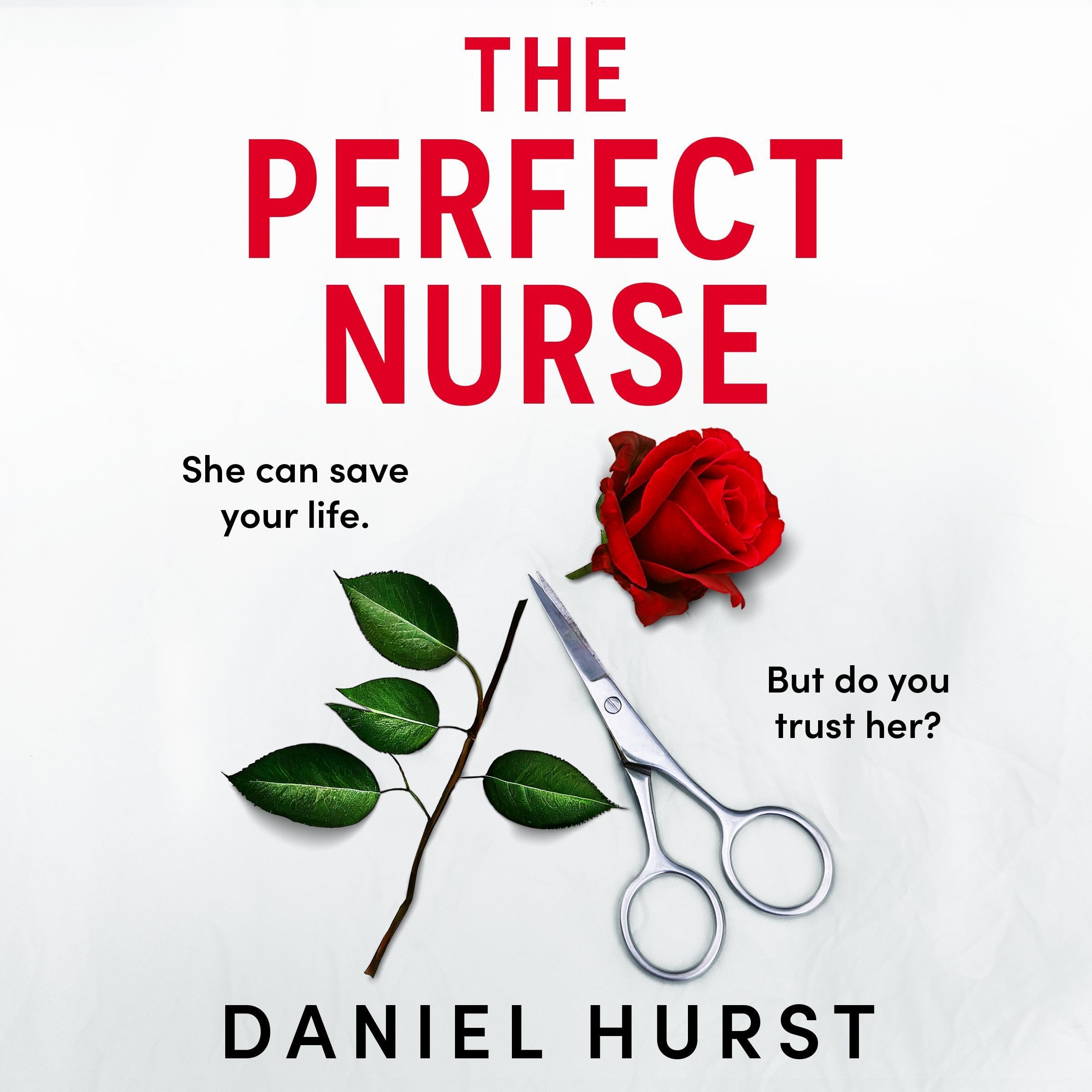 The Perfect Nurse