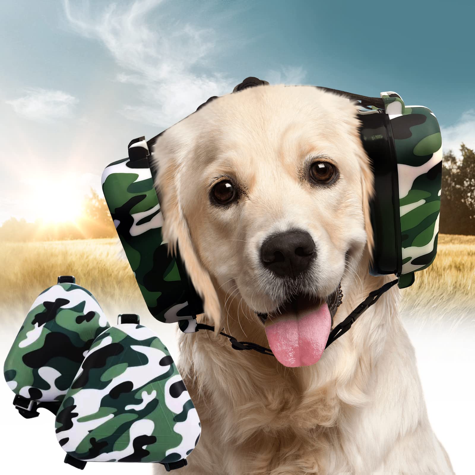 Do Fireworks Hurt Dogs Ears