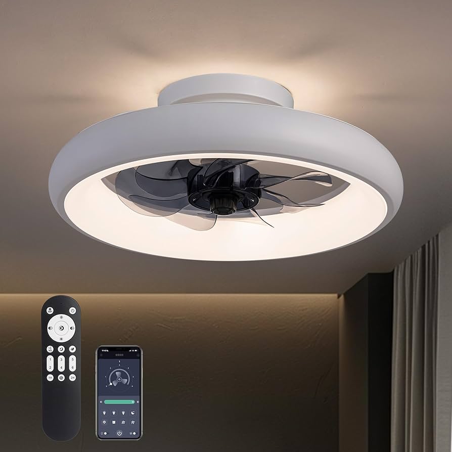 M❣️ LUDOMIDE Ceiling Fans with Lights and Remote, 15'' Low