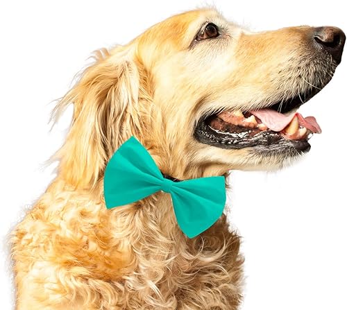 Miniatura 7 de Ruse Pajarita para mascotas perros y gatos Salmón Sólido Fácil de Usar Correa Elástica Antirozaduras Regalo para Mascotas Perros y Gatos Bufanda