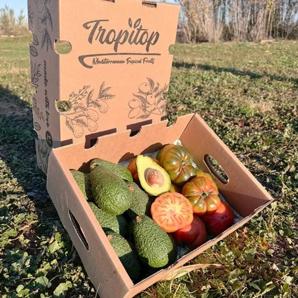 Caja de aguacates hass y tomate raf | 2 kg de Aguacates Hass y 2 kg de Tomate Raf, frescos y naturales, cultivados en Castellón (España), sin químicos y enviados directamente del campo a tu casa
