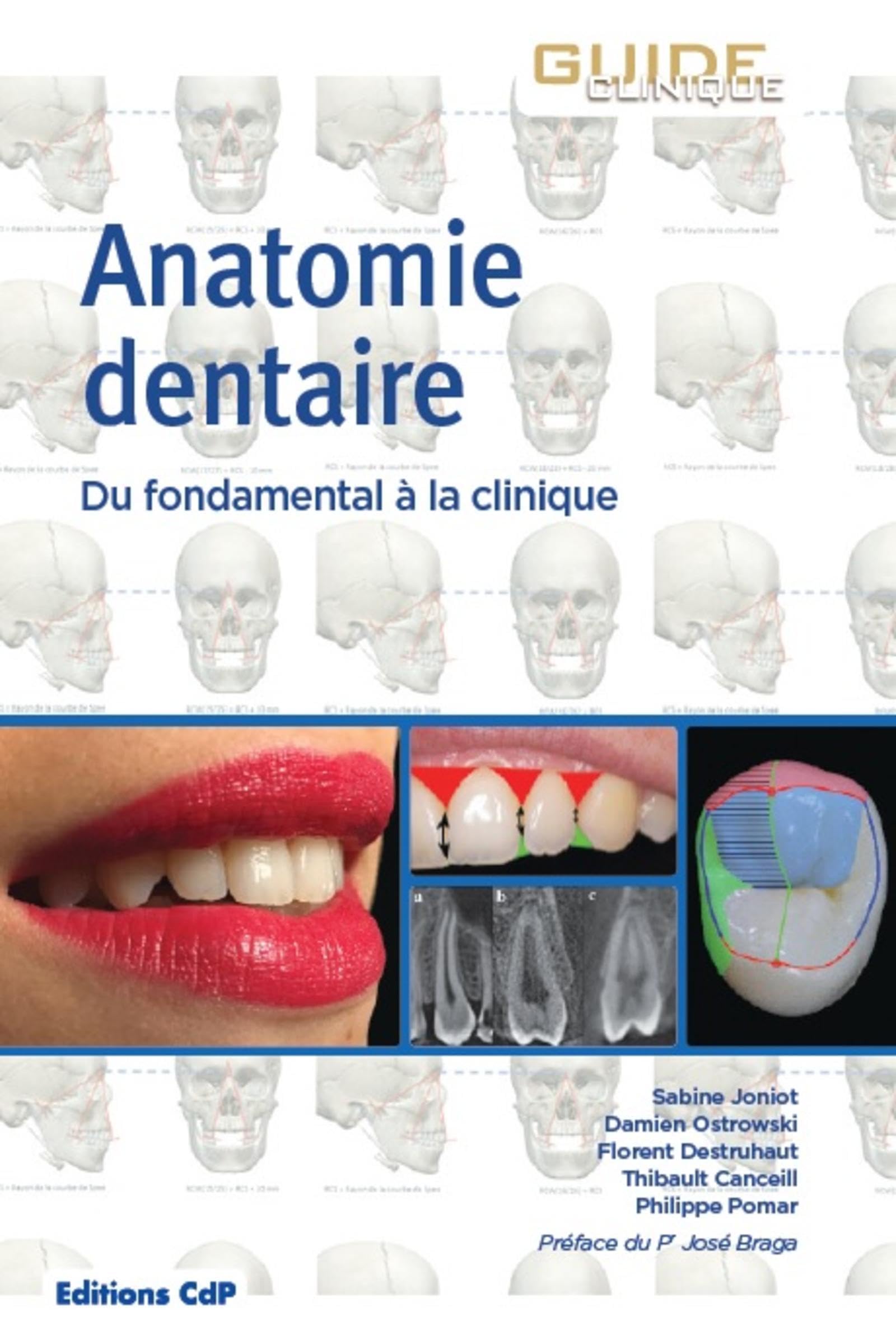 Anatomie dentaire: Du fondamental à la clinique. Préface du Pr José Braga