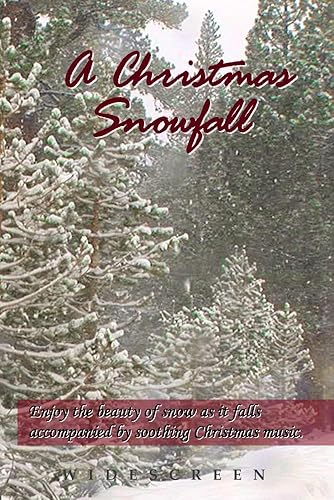 A Christmas Snowfall - enjoy a white Christmas wherever you live along with your favorite Christmas carols, turns your TV into art