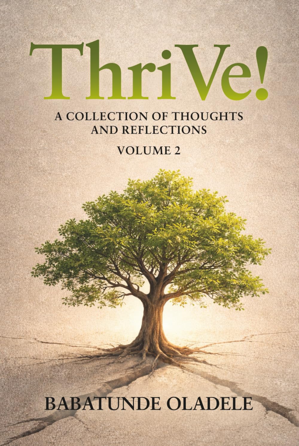 ThriVe!: A Collection of Thoughts and Reflections (ThriVe! with Babs)