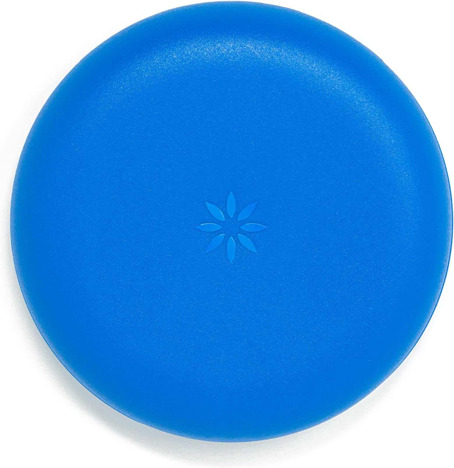 Aligner and Retainer Case, Royal Blue