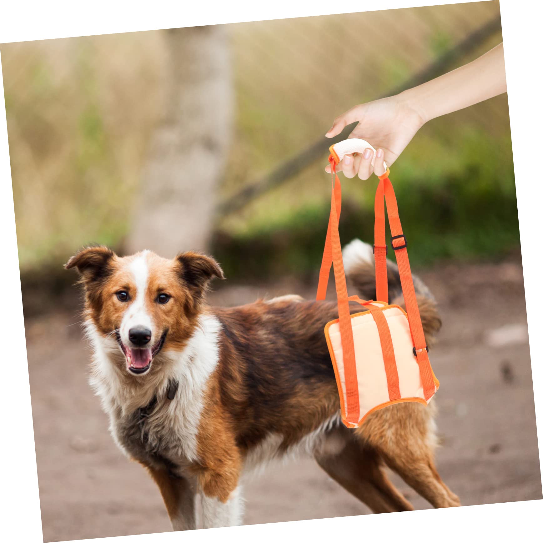 BESPORTBLE 3pièces De Soutien pour Chien Ceinture De Levage Ajustable pour Assistance Marche Et Réhabilitation pour Chiens Âgés Ou Handicapés XL