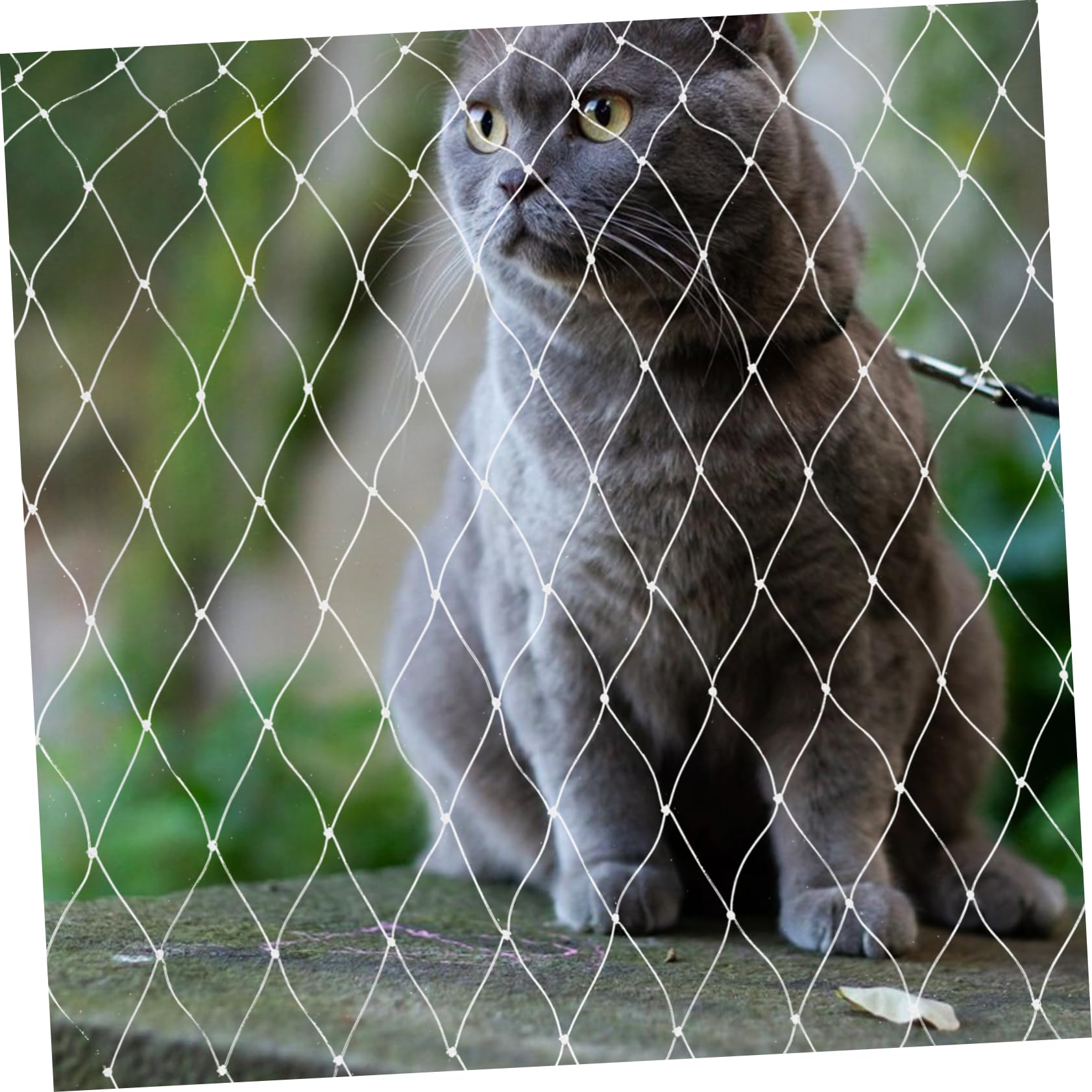 minkissy Rete per Balcone Gatti Anti-Caduta in Nylon Bianco | Finestre e Scale, Tagliabile e Resistente All'usura, Adatta anche Agli Uccelli