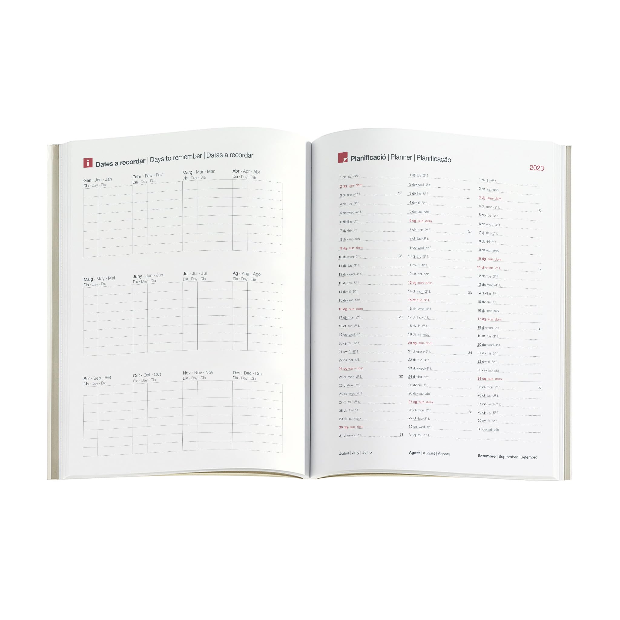 Miquelrius, Annual Planner 2024, Day Page, Plus Size 155 x 213 mm (Similar A5), Flexible Stitched Leather Cover, Catalan - Image 3