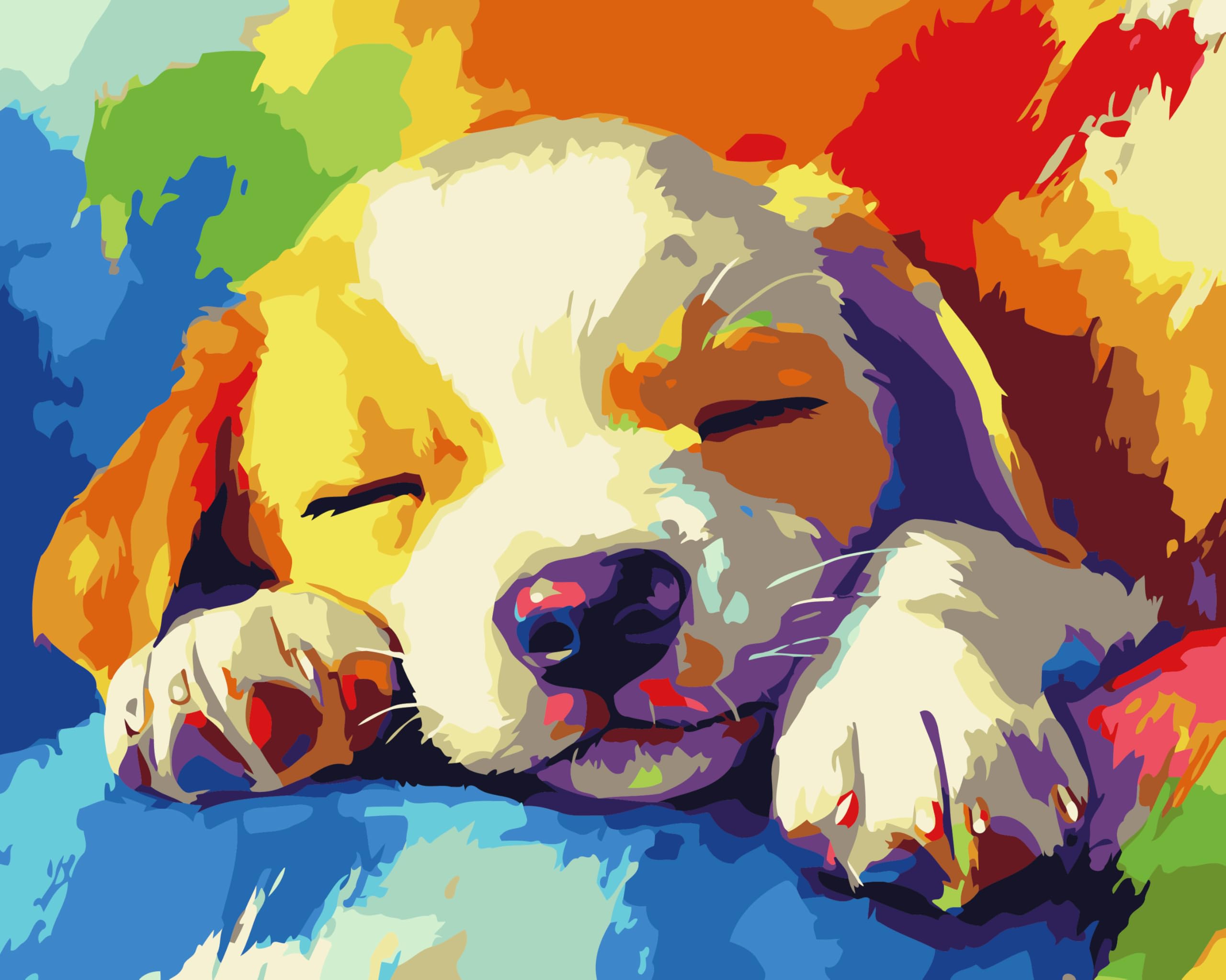 CaptainCrafts Paint by Numbers for Adults Beginner 16x20 Inch DIY Craft Art Paintings Home Wall Decor (with Frame, Rainbow Sleeping Dog) โ image 1