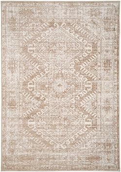 Vintage Warm Neutral Greige Living Room Area Rug Distressed Antique ...