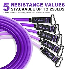 HPYGN Resistance Bands with Handles, Workout Bands, Fitness Bands with Door Anchor, Ankle Straps, Exercise Bands for Heavy Resistance Training, Physical Therapy, Shape Body, Yoga, Home Workouts Set