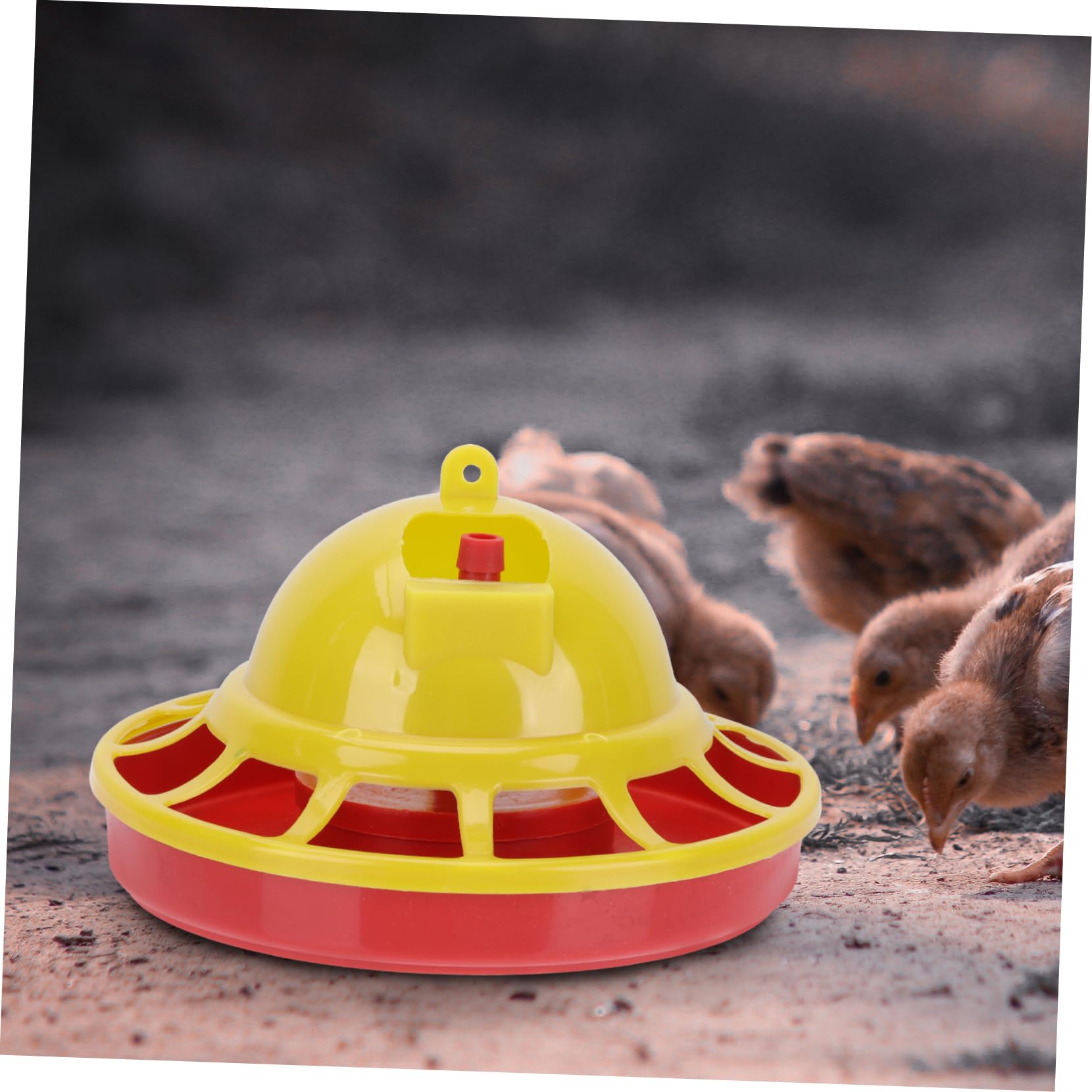 GALPADA Chick Water Fountain Chick Feeder and Waterer Set Automatic Poultry Feeder Container