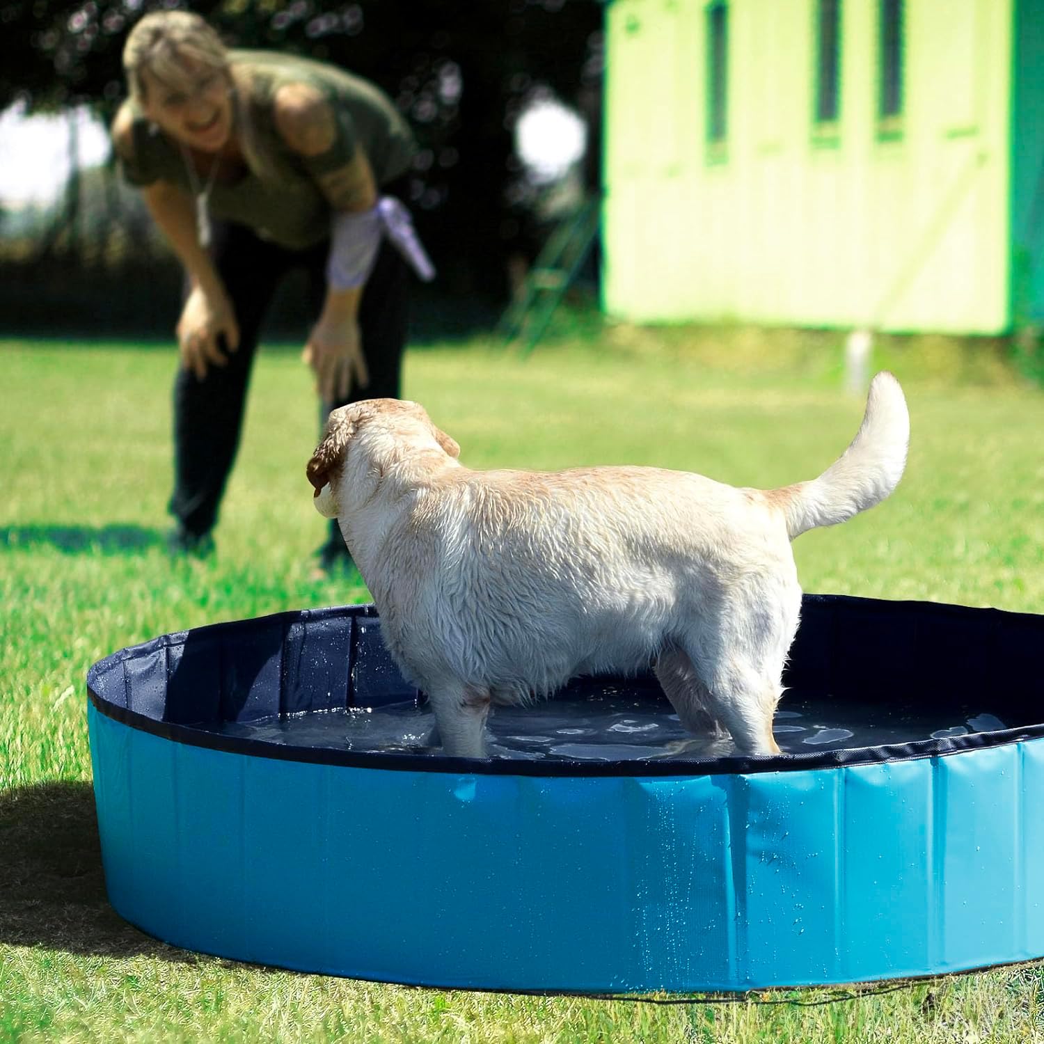 Wintem Piscina per Cani 160x160 cm Rotonda in PVC Resistente, Antiscivolo, Facile da Gonfiare - Ideale per Cani di Taglia Media, Piscina da Giardino per Animali